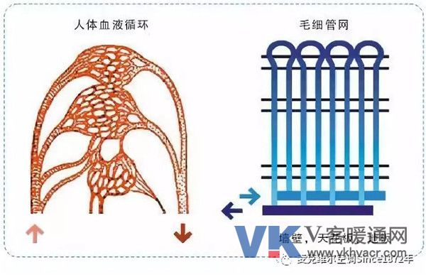 1530497954572451.jpg 微信图片_20180702102939.jpg