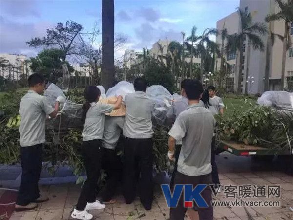 1537153692934176.jpg 微信图片_20180917110544.jpg