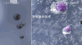 1546577743220753.gif 微信图片_20190104125202.gif