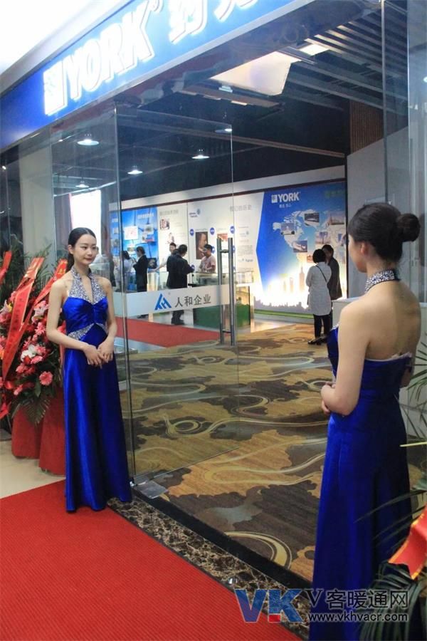1554727036673189.jpg 约克2.jpg
