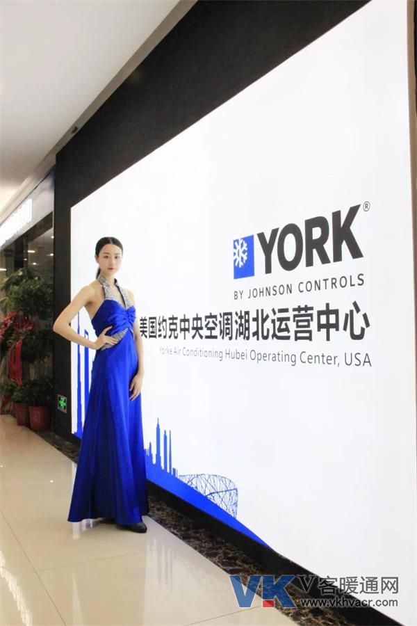 1554727050110367.jpg 约克3.jpg