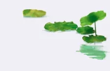 1563330928452995.jpg 1563330928452995.jpg