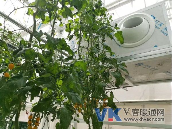 1563762768755638.jpg 微信图片_20190722103118.jpg