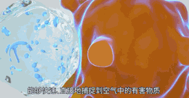 1564710060566900.gif 1564710060566900.gif