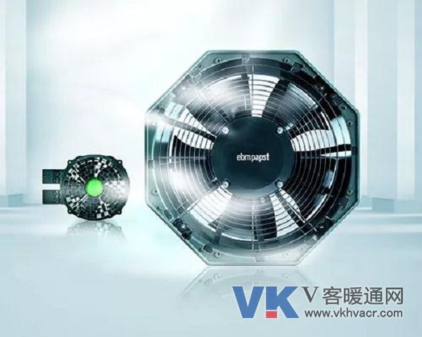 1565579778746386.jpg 依必安派特4.jpg